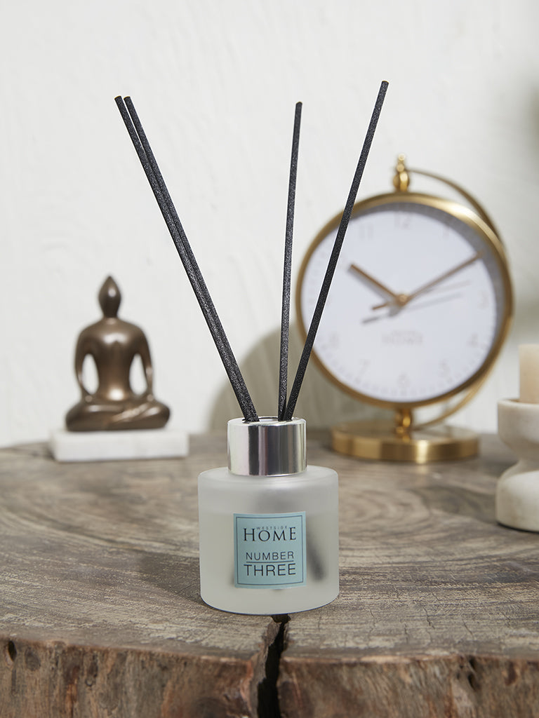 Westside Home Clear Small Fragrance Diffuser with Four Reed Sticks