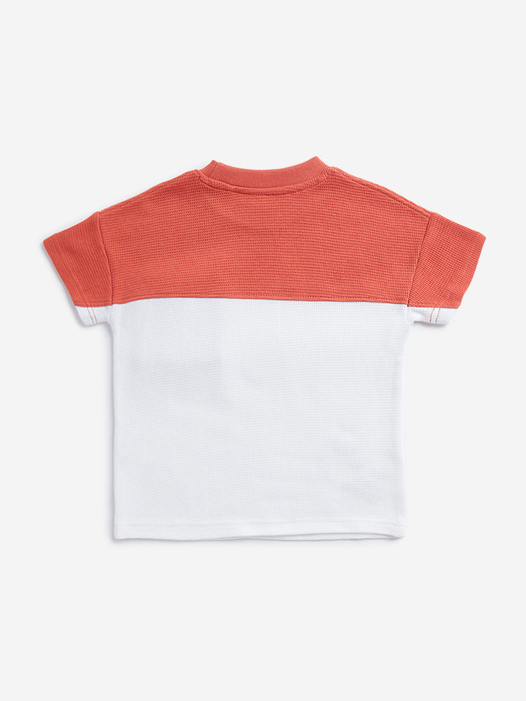 HOP Kids Dusty Orange Colour blocked T-Shirt