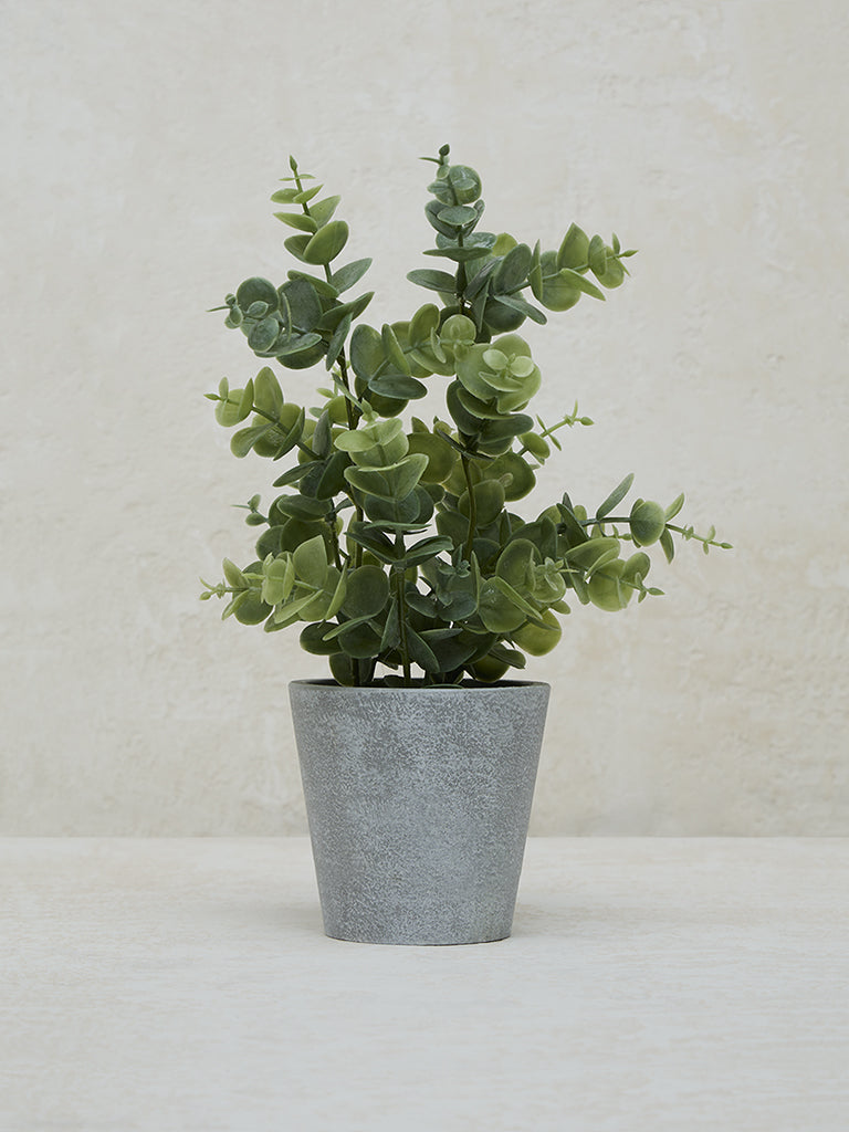 Westside Home Green Baby Eucalyptus Artificial Plant