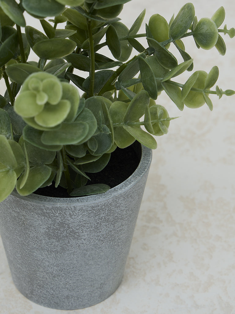 Westside Home Green Baby Eucalyptus Artificial Plant