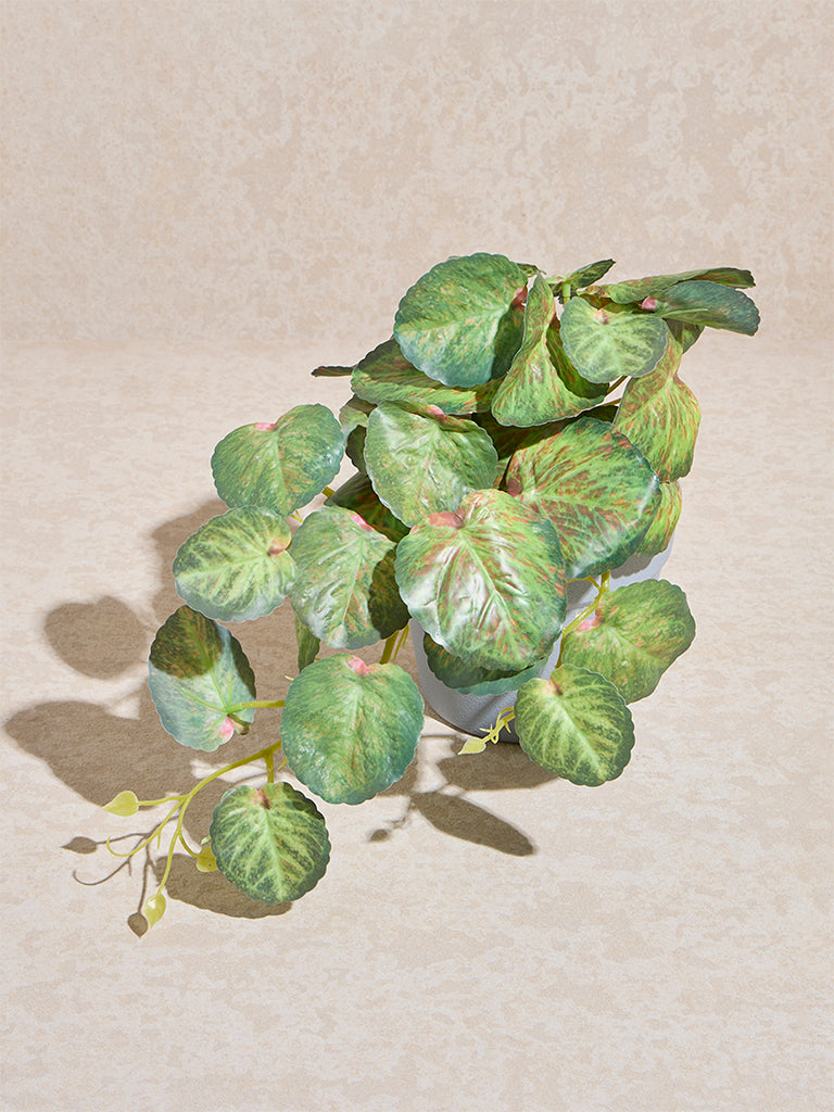 Westside Home Green Anubias Artificial Plant