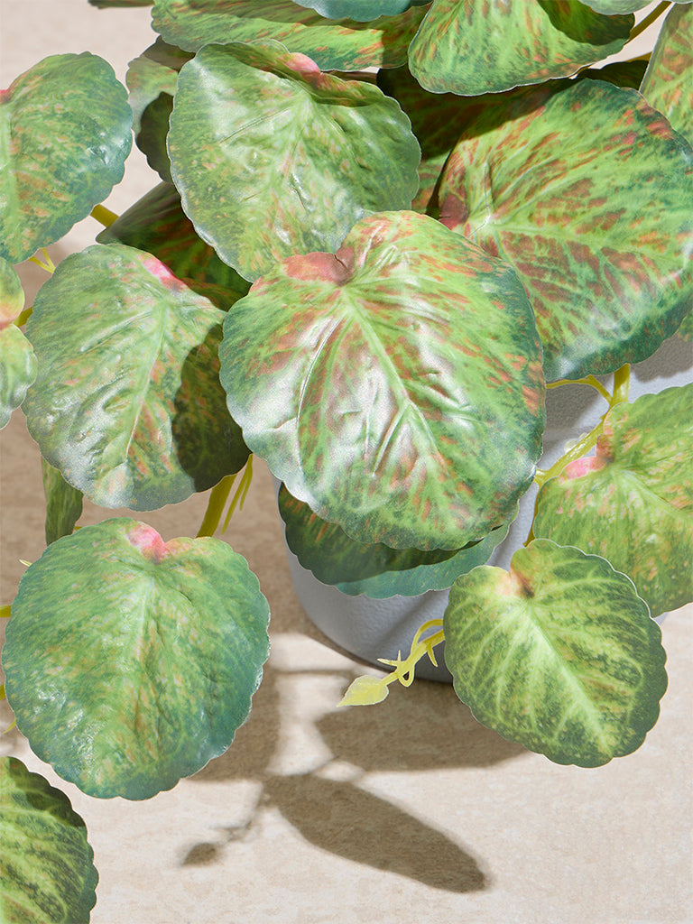 Westside Home Green Anubias Artificial Plant