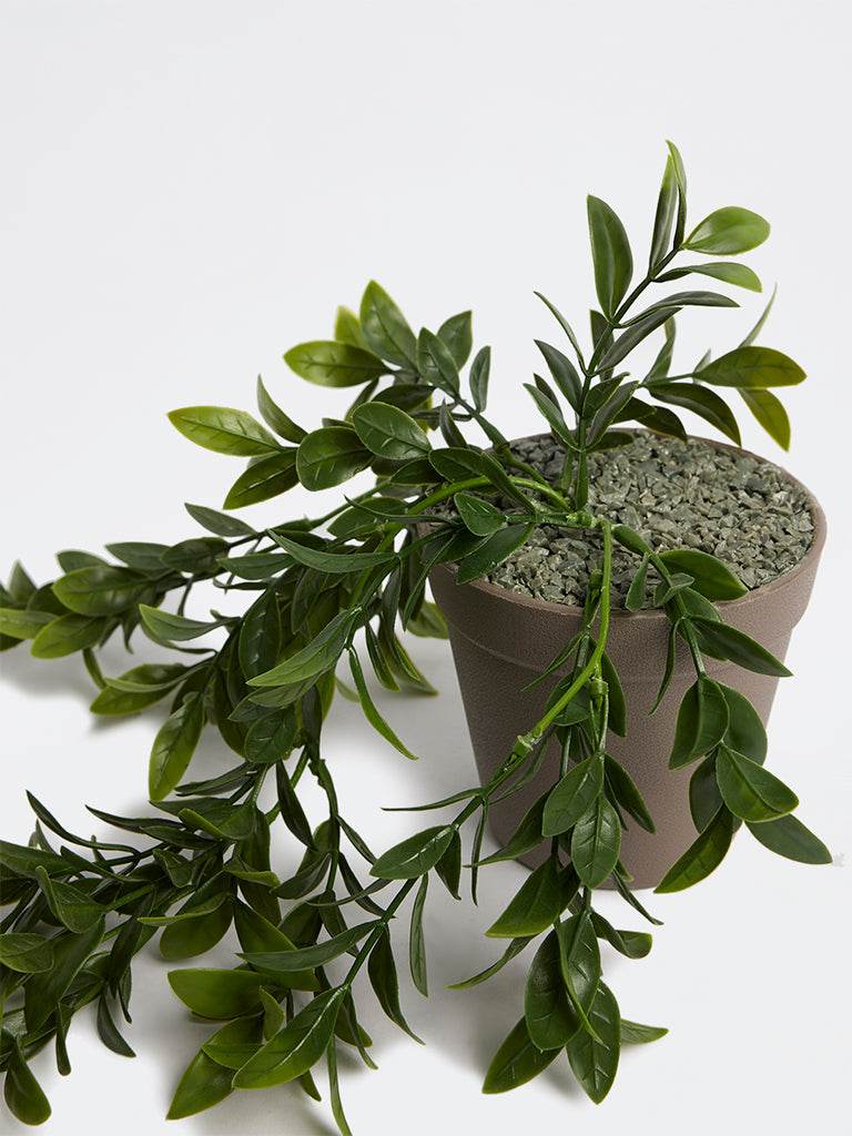 Westside Home Green Artificial Drooping Plant
