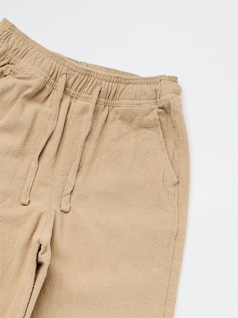 Boys Taupe Mid-Rise Trousers