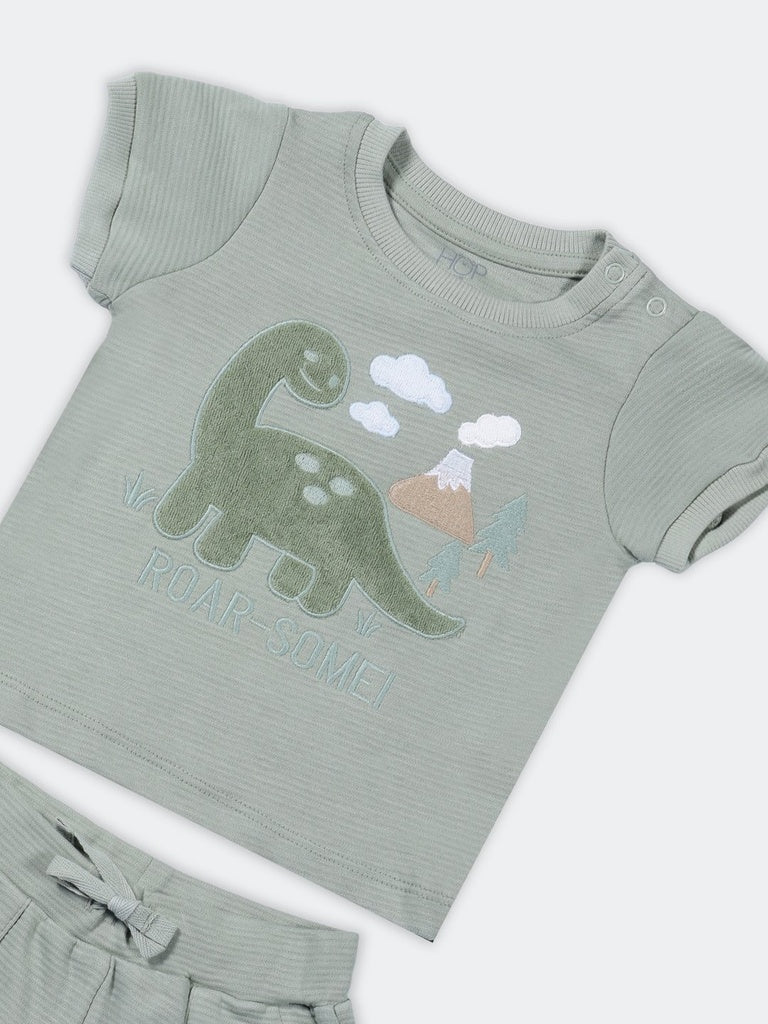 HOP Baby Boys Sage Cotton T-Shirt and Shorts Set