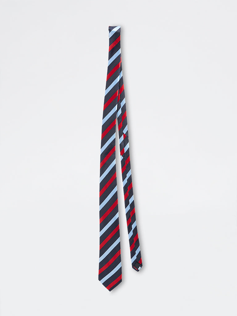 WES Formals Multicolour Striped Tie