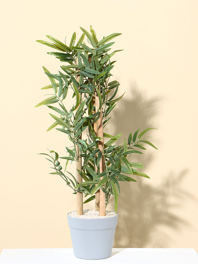 Westside Home Green Bamboo Plant