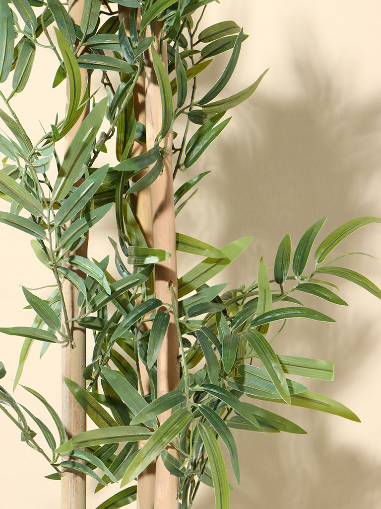 Westside Home Green Bamboo Plant