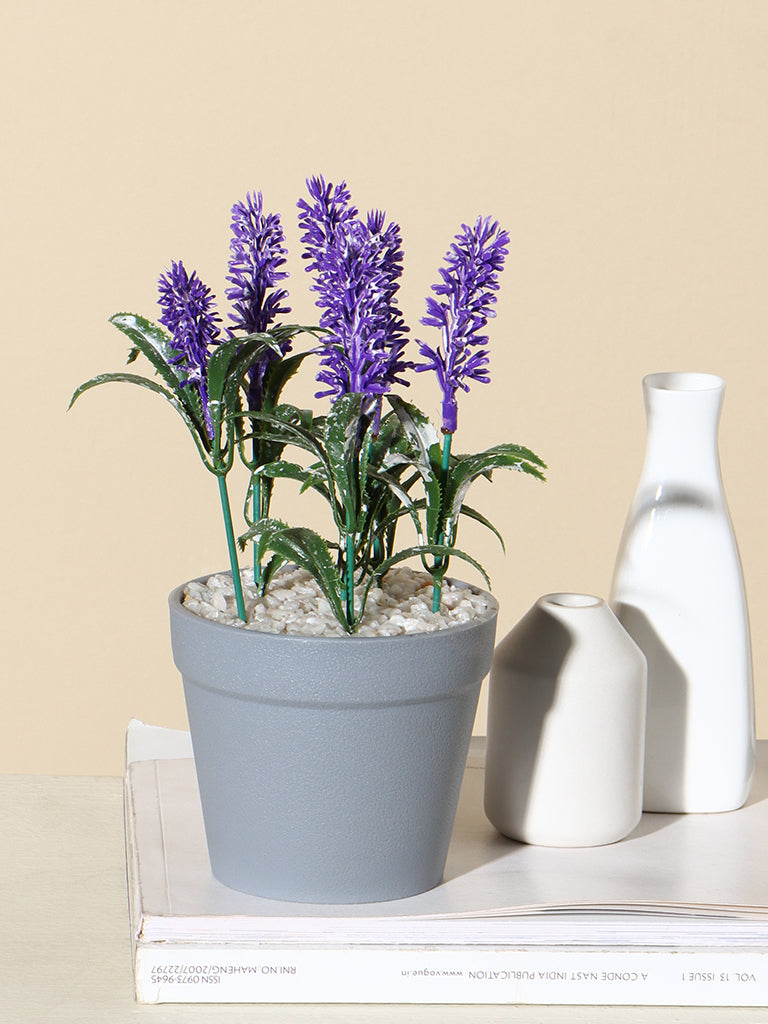 Westside Home Purple Lavender Plant