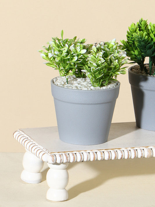 Westside Home Green Decorative Plant in Round Pot