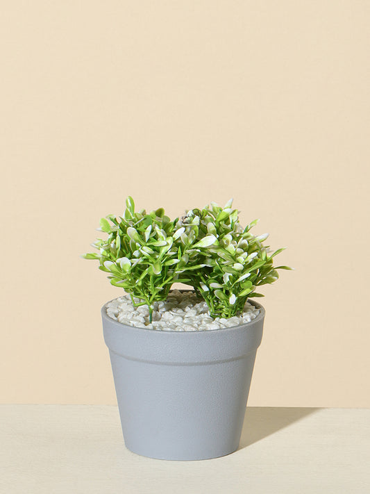 Westside Home Green Decorative Plant in Round Pot