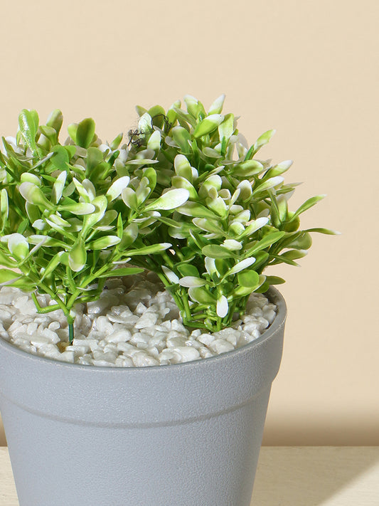 Westside Home Green Decorative Plant in Round Pot