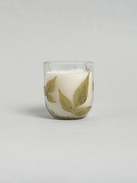Westside Home White Candle In Leaf Jar