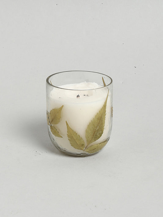 Westside Home White Candle In Leaf Jar