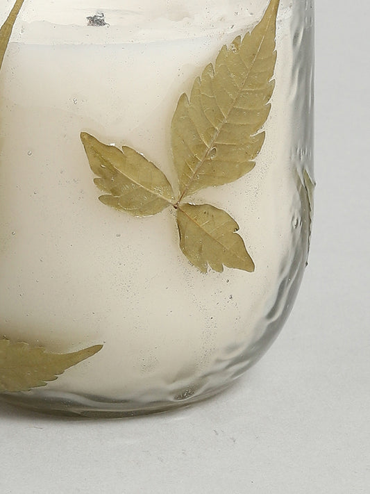 Westside Home White Candle In Leaf Jar