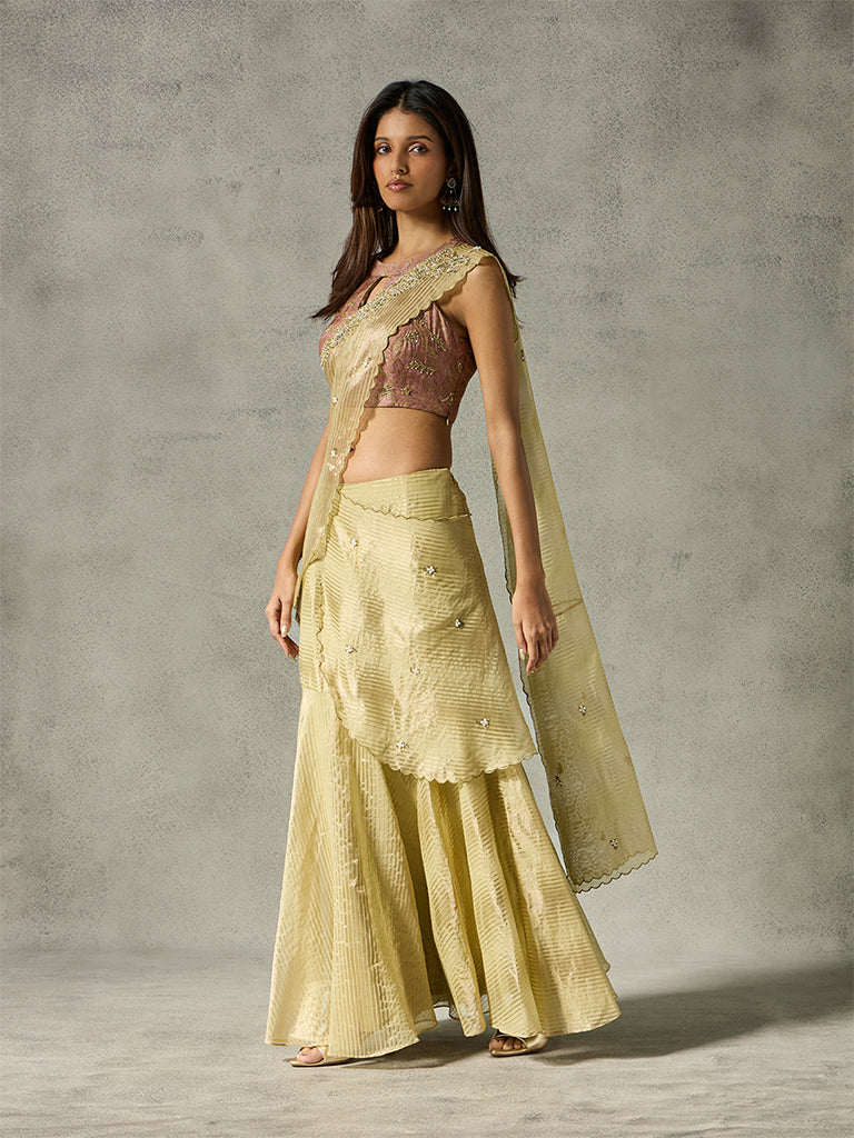 Embellished Saree with Detachable Pallu - Gold