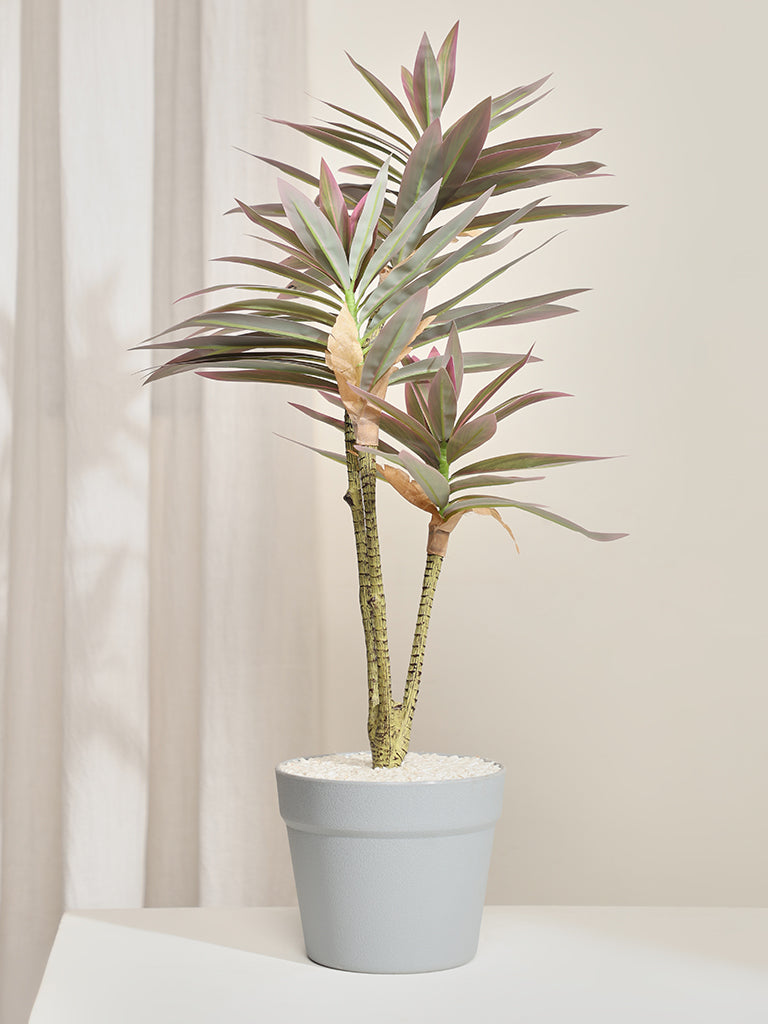 Westside Home Oyster Decorative Plant