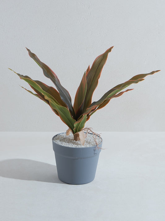 Westside Home Red Ti Artificial Plant