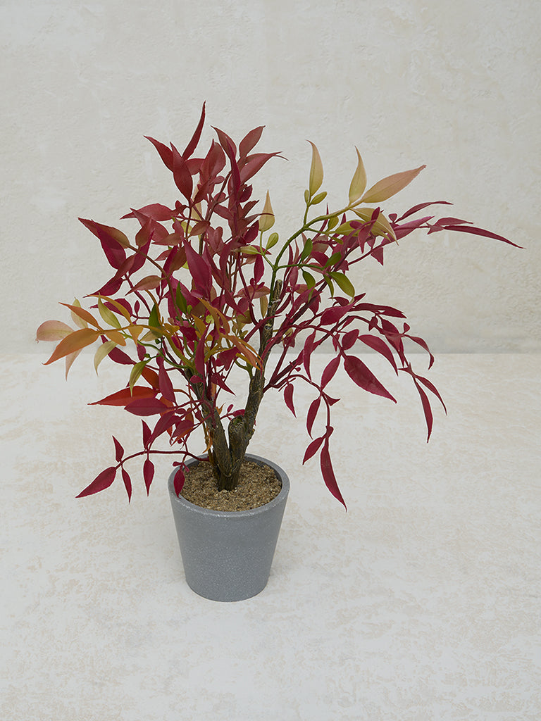Buy Westside Home Orange Bamboo Pot Artificial Plant from Westside