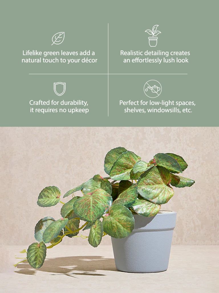 Westside Home Green Anubias Artificial Plant