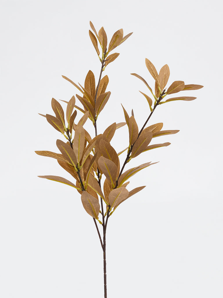 Westside Home Brown Artificial Bay Leaf Plant