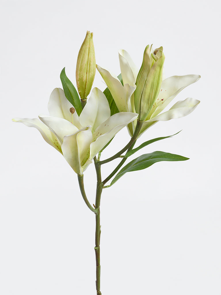 Westside Home White Artificial Lily Flower