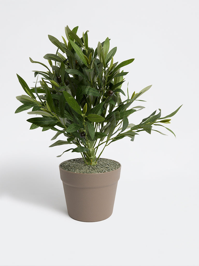 Westside Home Green Artificial Olive Plant