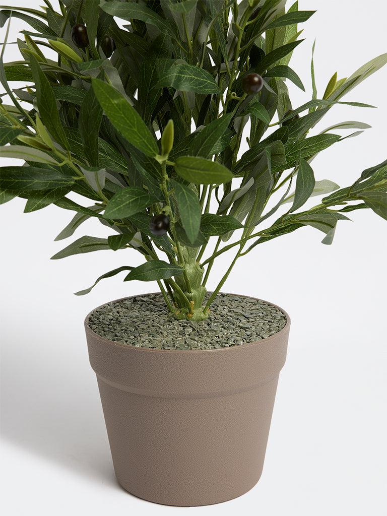 Westside Home Green Artificial Olive Plant