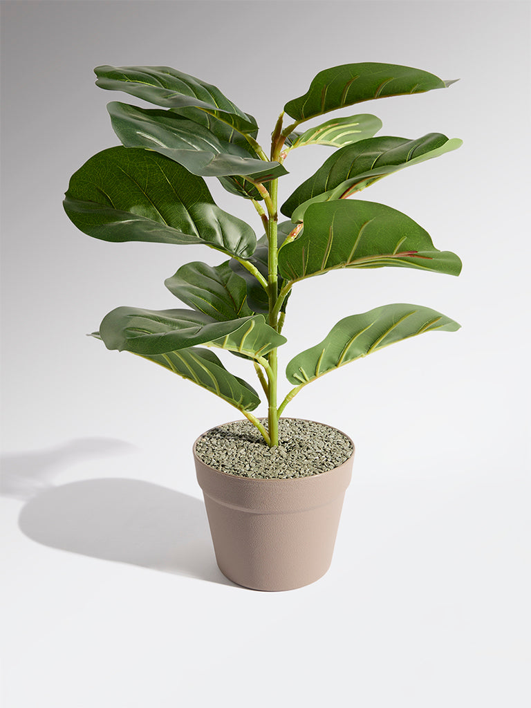Westside Home Green Artificial Fiddle Plant - Small