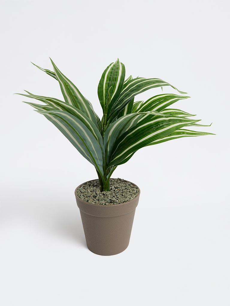 Westside Home Green Artificial Croton Plant