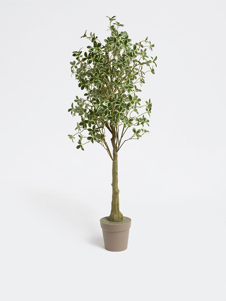 Westside Home Green Japanese Spindle Artificial Plant