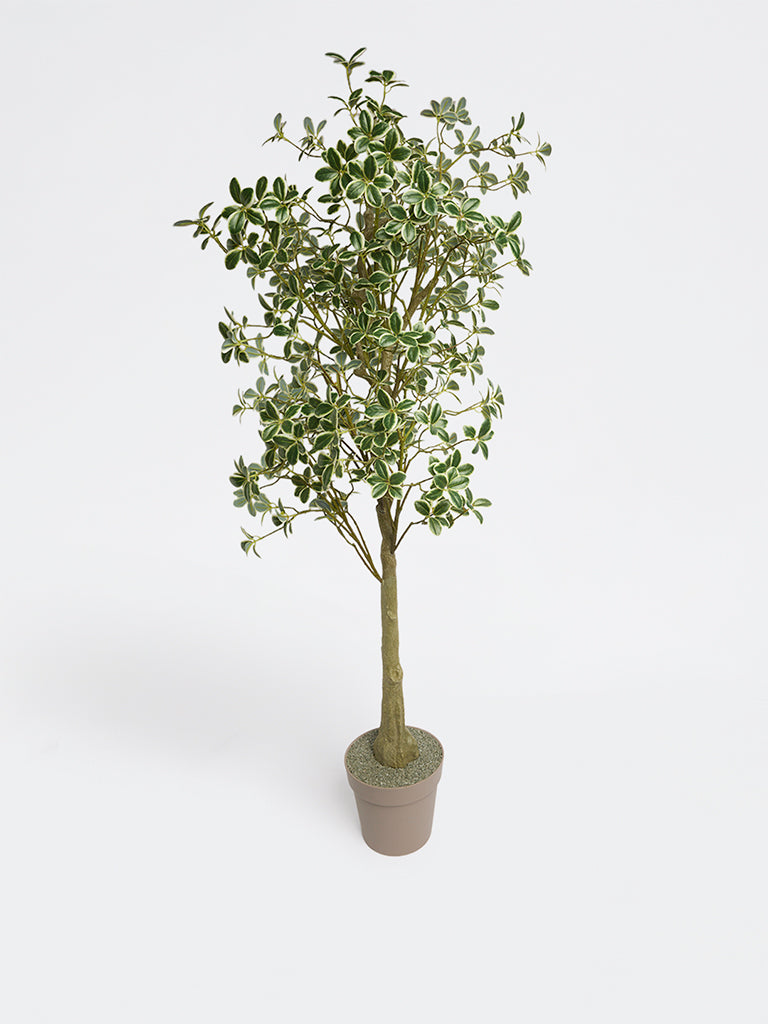 Westside Home Green Japanese Spindle Artificial Plant