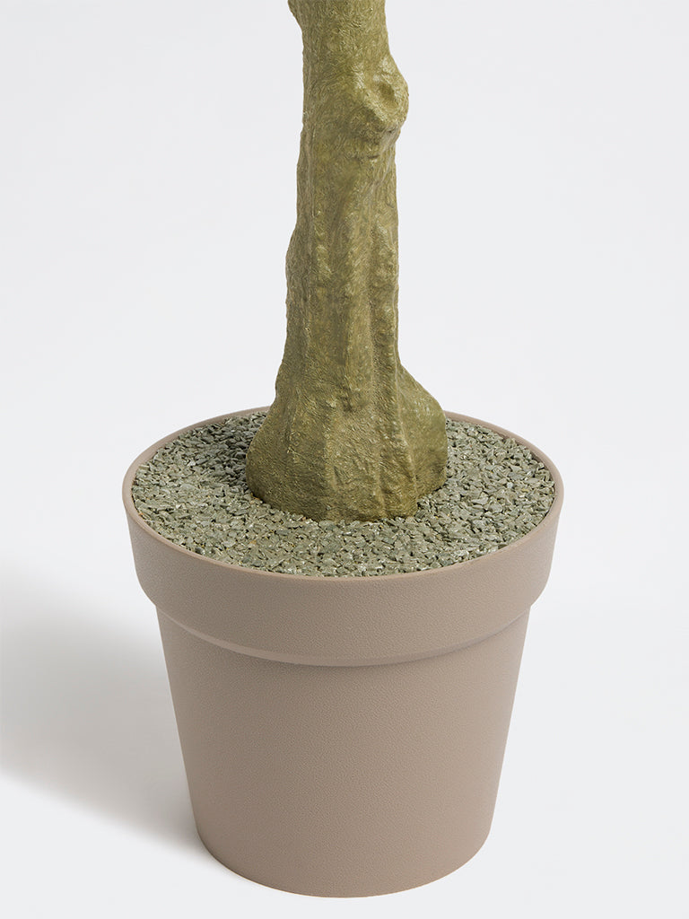 Westside Home Green Japanese Spindle Artificial Plant