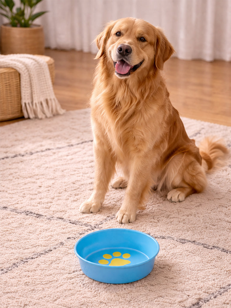 Westside Home Blue Paw-Print Pet Food Bowl