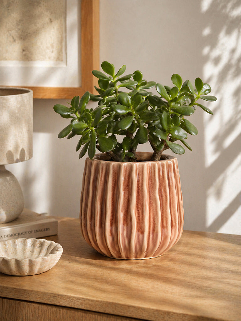Westside Home Brown Ribbed Ceramic Planter