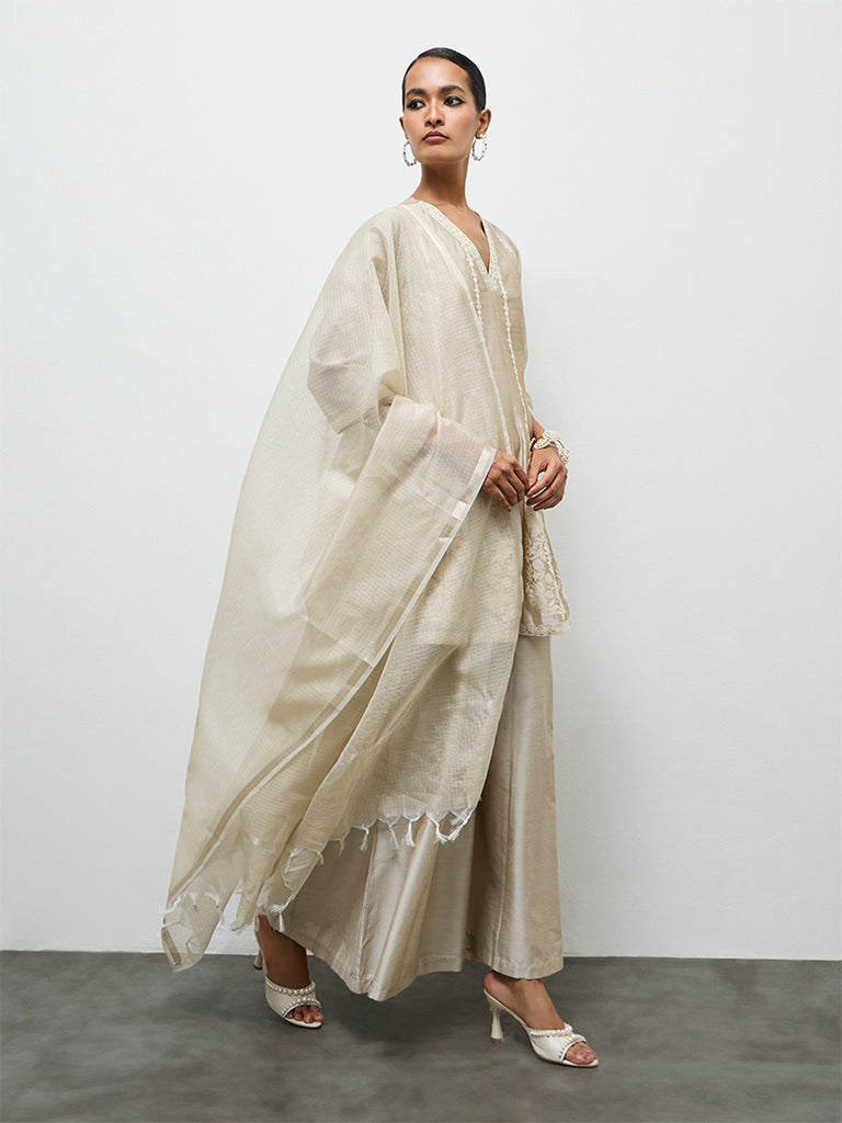 Vark Light Taupe Embroidered A-Line Ethnic Set