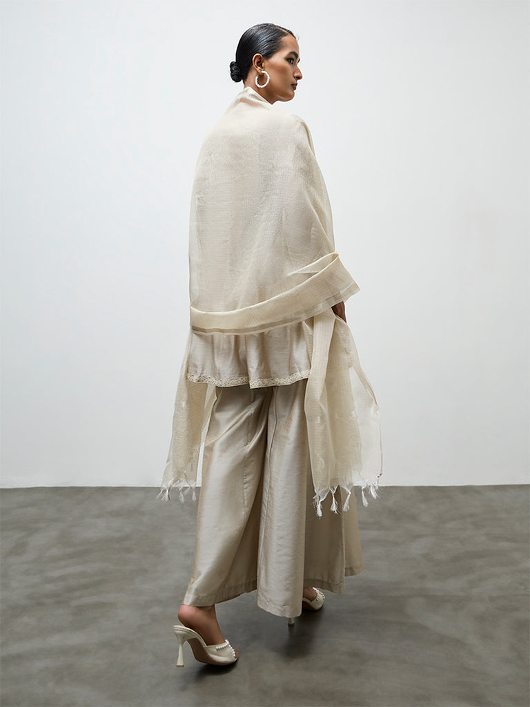 Vark Light Taupe Embroidered A-Line Ethnic Set