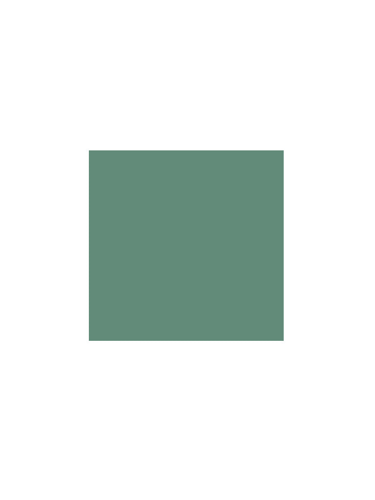 WES Casuals Green Relaxed-Fit Cotton Swimwear T-Shirt