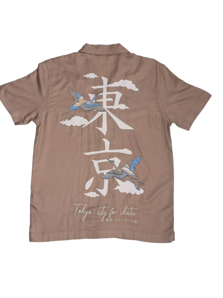 Boys Taupe Printed Shirt