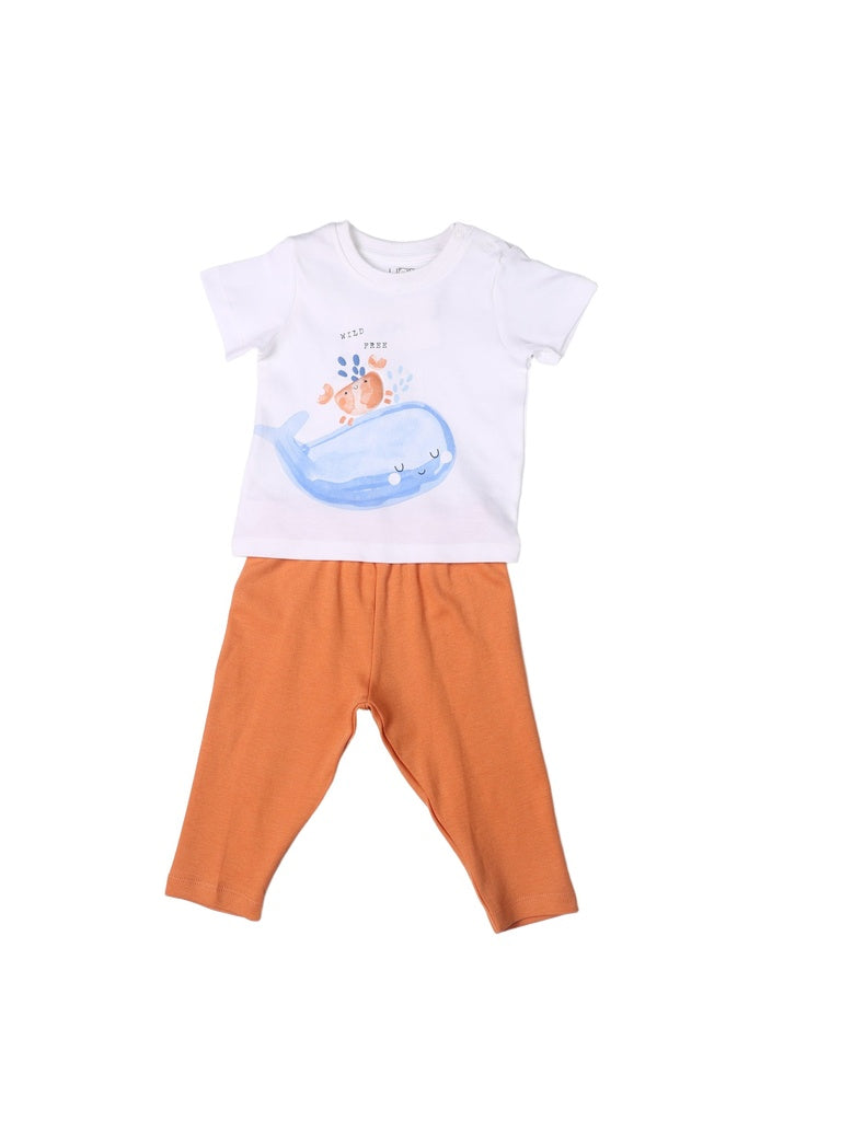 HOP Baby Boys Multicolour Printed Cotton T-Shirt and Pants Set - Exclusive