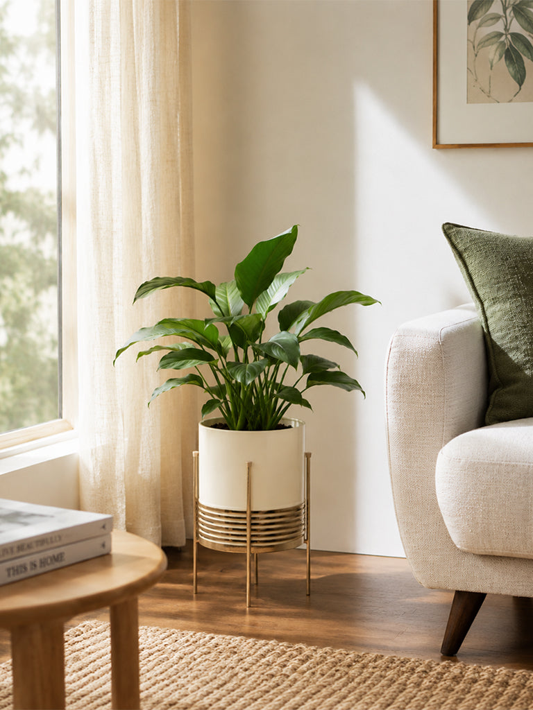 Westside Home Ivory Planter with Gold Metal Stand