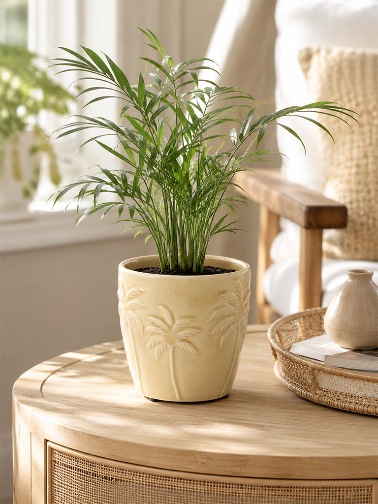 Westside Home Cream Palm Tree Embossed Ceramic Pot