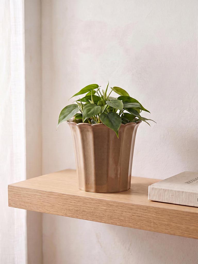 Westside Home Brown Ceramic Frill Pot