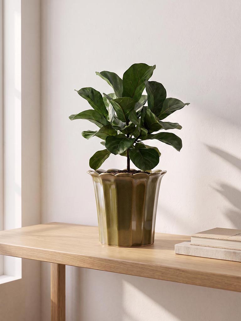 Westside Home Olive Ceramic Frill Pot