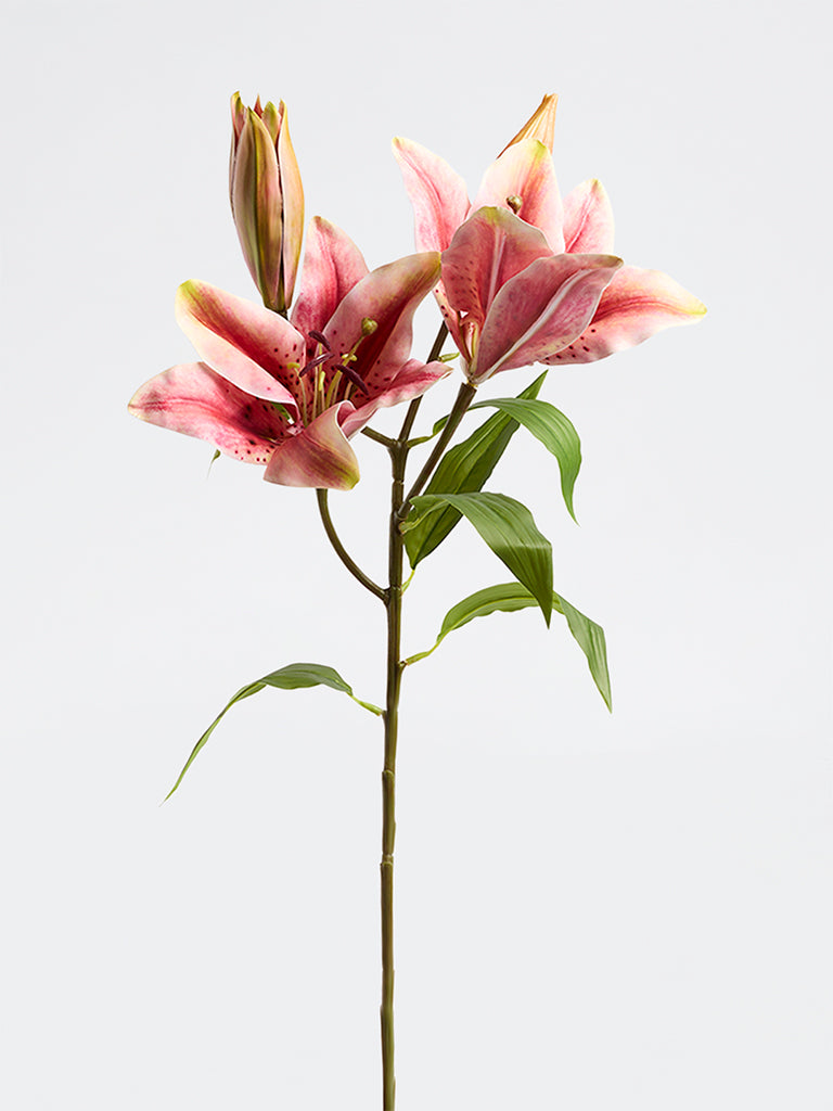 Westside Home Pink Lily Artificial Flower
