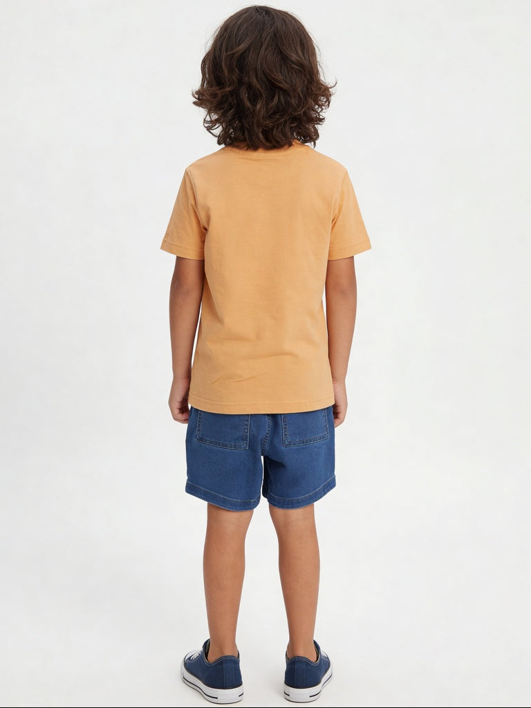 HOP Kids Boys Orange Papaya Graphic Printed Cotton T-Shirt