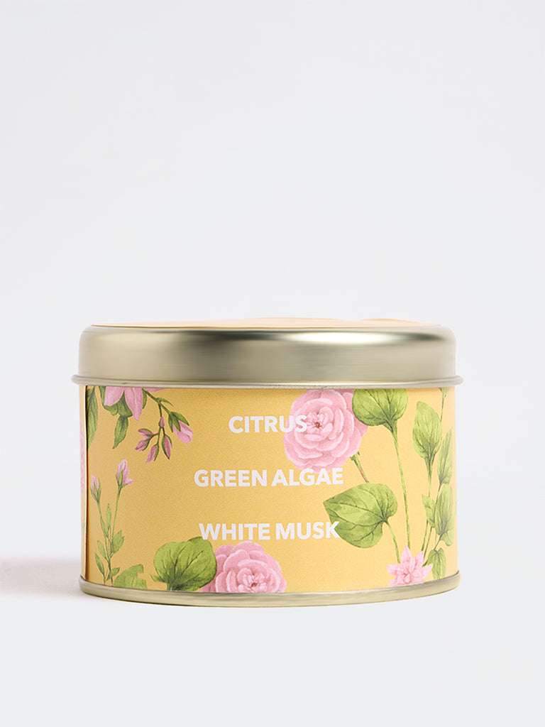 Westside Home Yellow Citrus, Green Algae and White Musk Scented Tin Candle