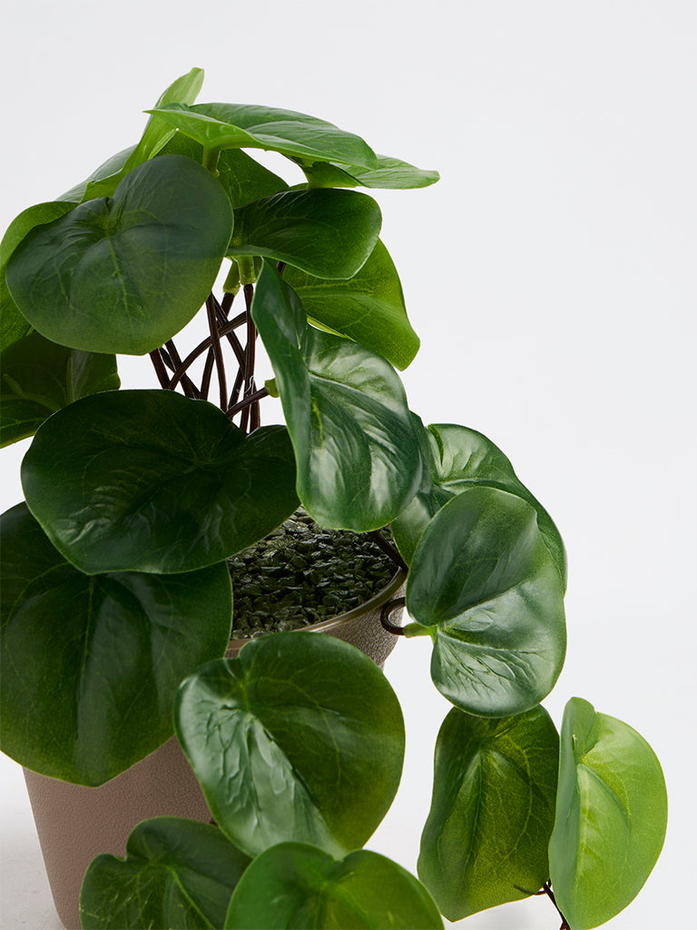 Westside Home Green Artificial Rubber Plant