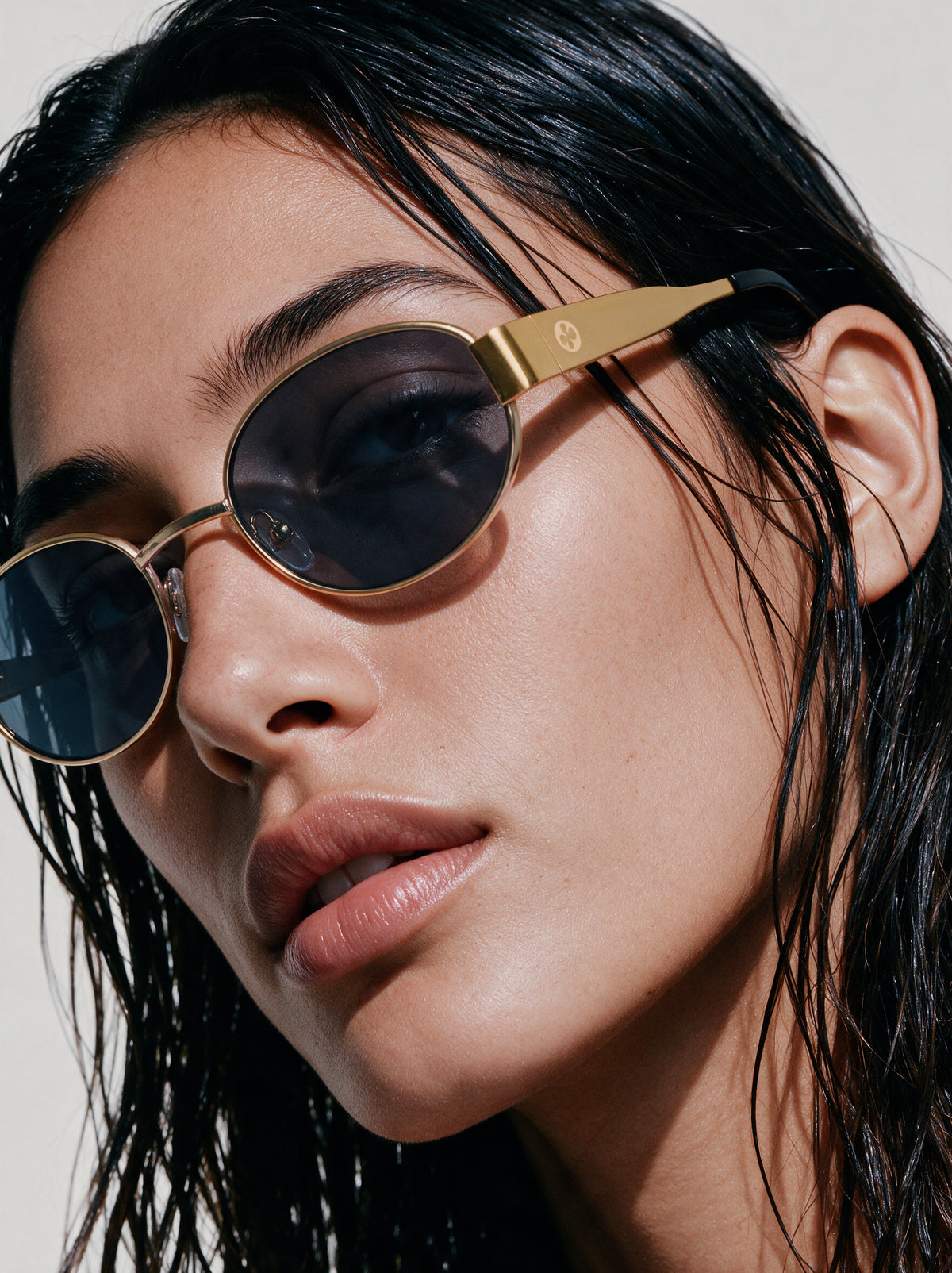 Pome Luxe Iconic Metal Oval Sunglasses