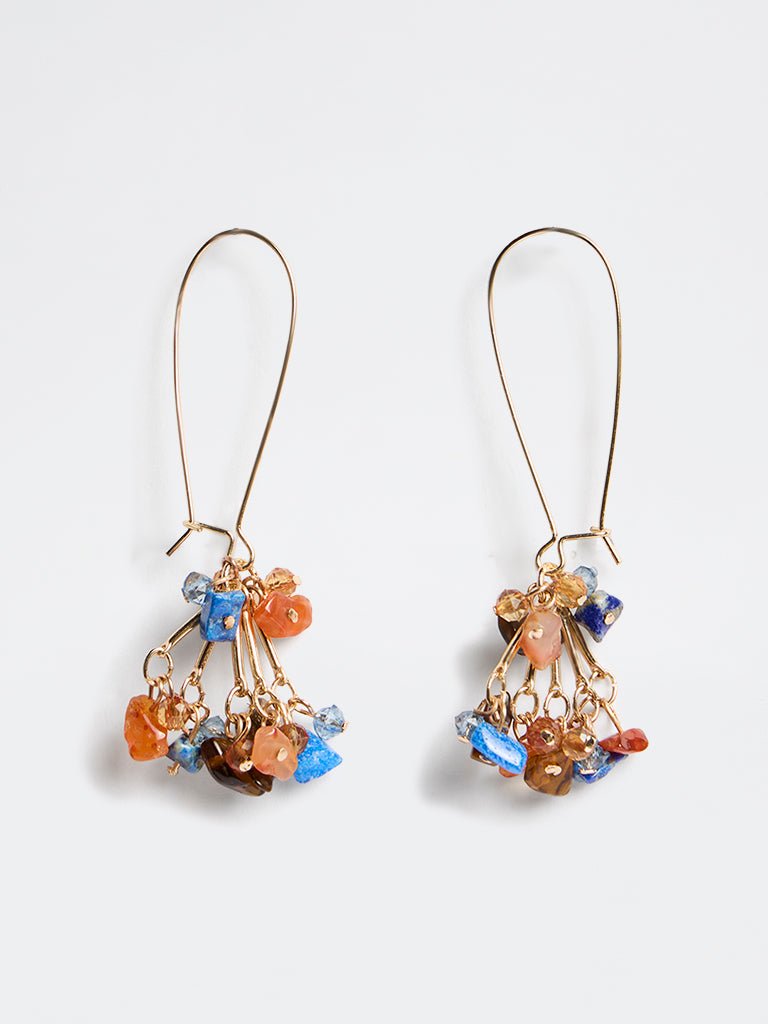 Westside Accessories Multicolour Stone Fish Hook Earrings